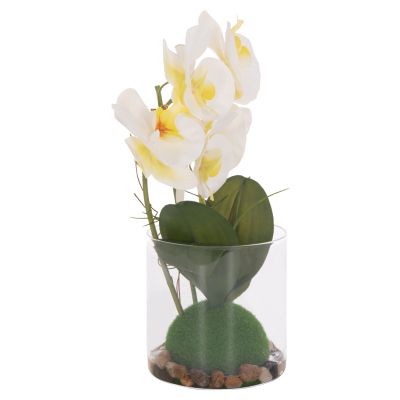 DECORATIVE SYNTHETIC PLANT HM4738 PHALAENOPSIS FLOWER IN GLASS POT 12x24x30Hcm.