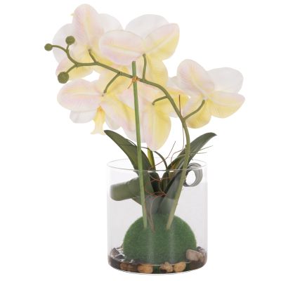 DECORATIVE SYNTHETIC PLANT HM4738 PHALAENOPSIS FLOWER IN GLASS POT 12x24x30Hcm.