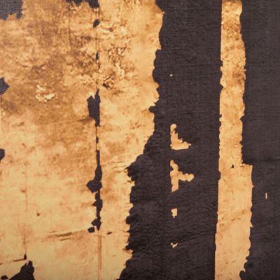 WALL PAINTING SERIES GOBI HM4782 PRINTED CANVAS 98x2,5(thickness)x68Hcm.