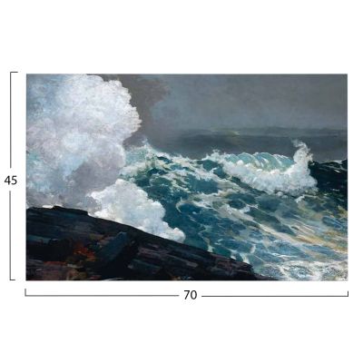 WALL PAINTING SERIES GOBI HM4848 PRINTED CANVAS 70x3(thickness)x45Hcm.