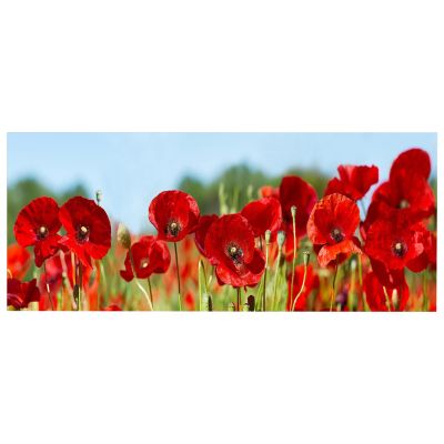 WALL PAINTING SERIES GOBI HM4786 PRINTED CANVAS 120x3(thickness)x50Hcm.