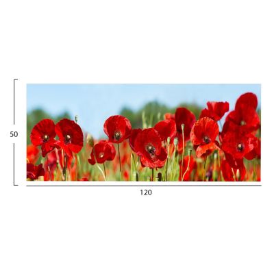 WALL PAINTING SERIES GOBI HM4786 PRINTED CANVAS 120x3(thickness)x50Hcm.