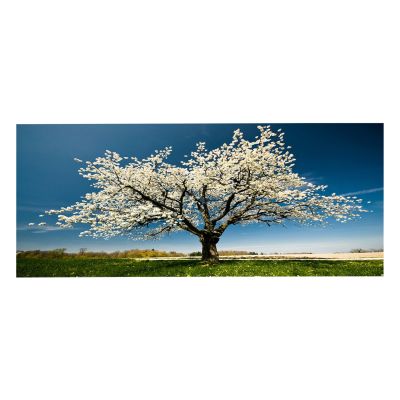 WALL PAINTING SERIES GOBI HM4792 PRINTED CANVAS 120x3(thickness)x50Hcm.