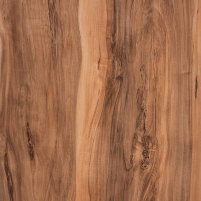 Table Desktop 525 Werzalit 70x70 Indian Sesami HM5230.10