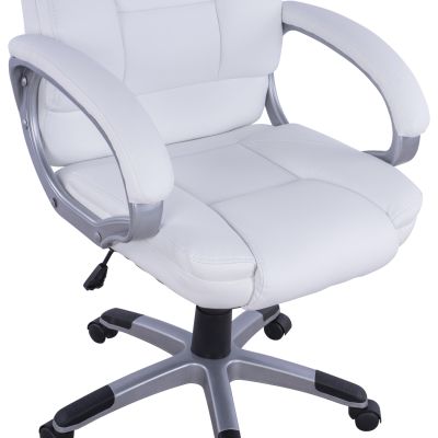 Office chair Director's HM1091.02 White 64x71x118 cm