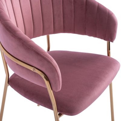 Armchair Theodore HM8520.02 Velvet Rotten Apple with metallic frame 55x50x82 cm