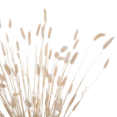 ДЕКОРАТИВЕН СУШЕН БУКЕТ ЗАЕШКА ОПАШКА HM7959 КРЕМ 76Hcm.