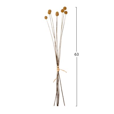 ДЕКОРАТИВЕН ИЗСУШЕН БУКЕТ CRASPEDIA GLOBOSA HM7956 ЖЪЛТ 63Hcm.