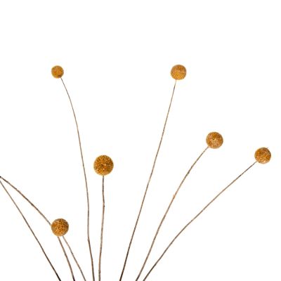 ДЕКОРАТИВЕН ИЗСУШЕН БУКЕТ CRASPEDIA GLOBOSA HM7956 ЖЪЛТ 63Hcm.