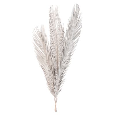 DECORATIVE DRIED 3-LEAF SET OF PALM TREE ΗΜ7957 SILVER 1120Hcm.