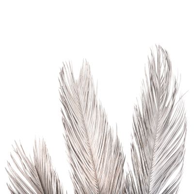 DECORATIVE DRIED 3-LEAF SET OF PALM TREE ΗΜ7957 SILVER 1120Hcm.