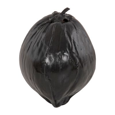 TABLE DECORATION HM4326.02 COCONUT IN BLACK COLOR 20x20x20Hcm.