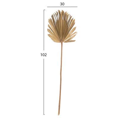 WALL DECOR HM7876 DRIED PALM LEAF IN NATURAL COLOR 30x102x3 cm.